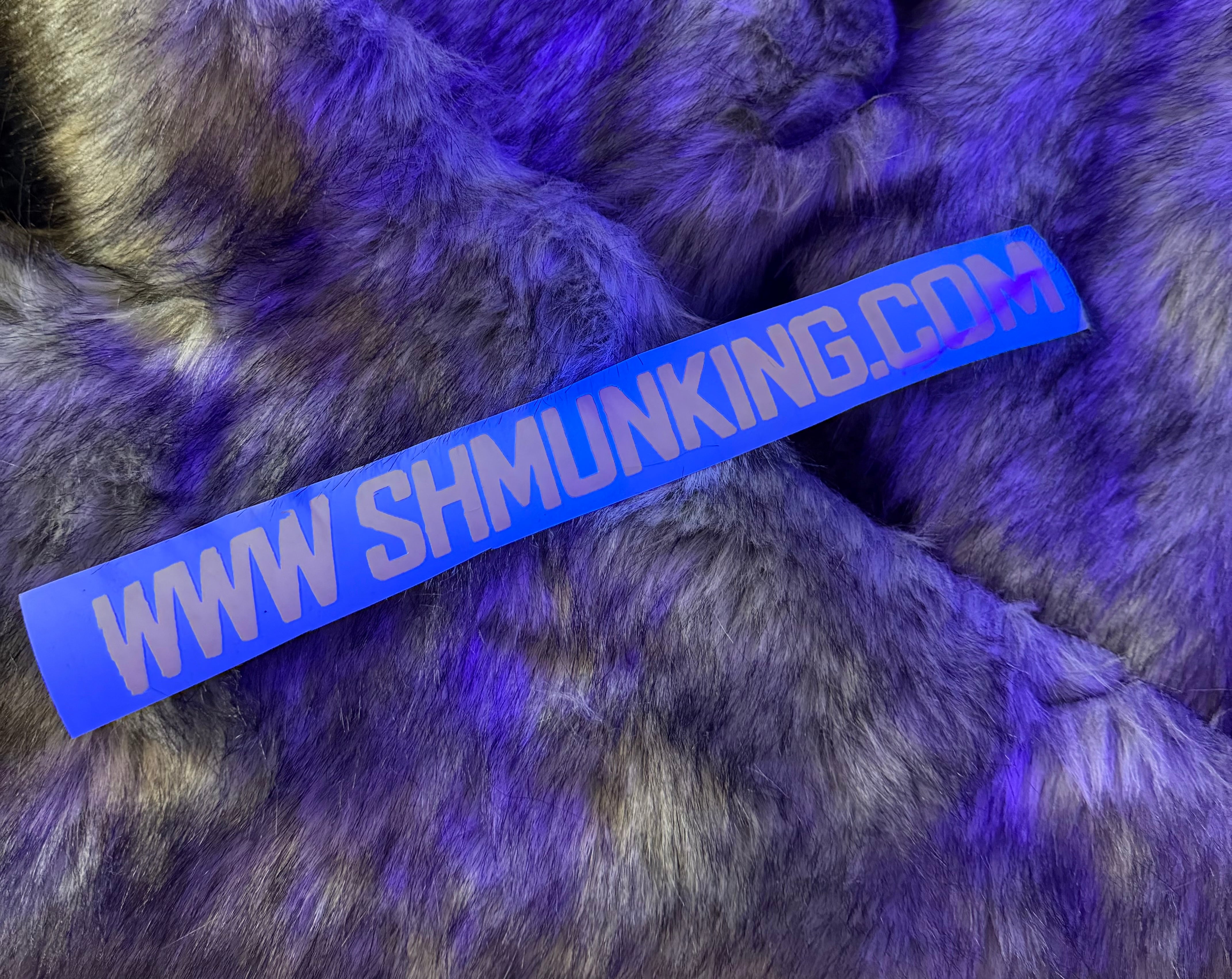 SHMUNKY URL - SLAPP